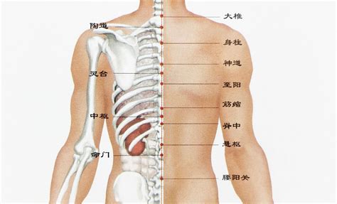 脊椎上有痣|后背有痣代表什么图解 后背有痣代表什么